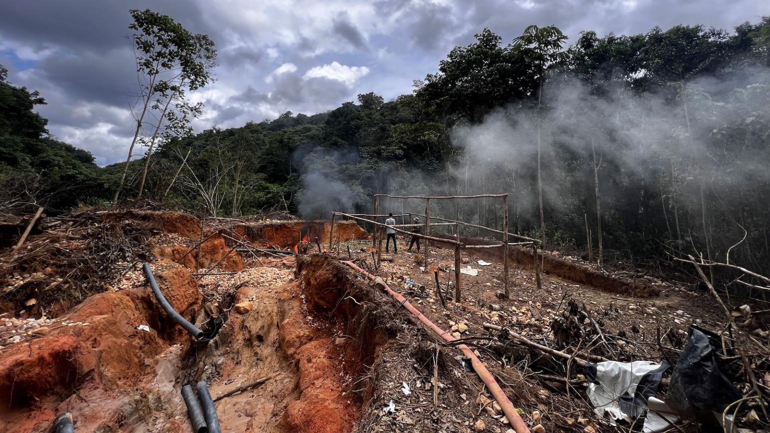 Amazon deforestation continues to plummet | Grist