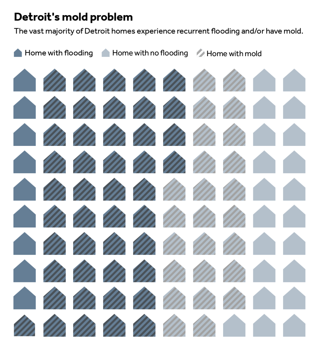 Detroit has a flood problem. It's got an even bigger mold problem. | Grist