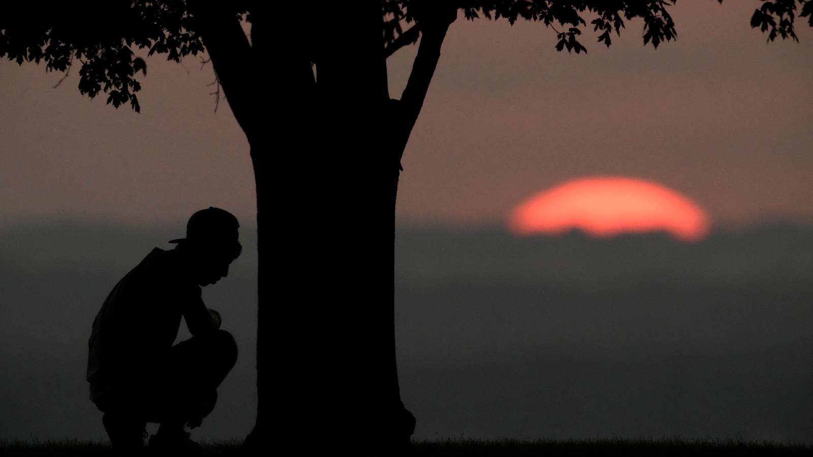 A person kneels beneath a tree as the sun dips below the horizon after a hot day in Missouri.
