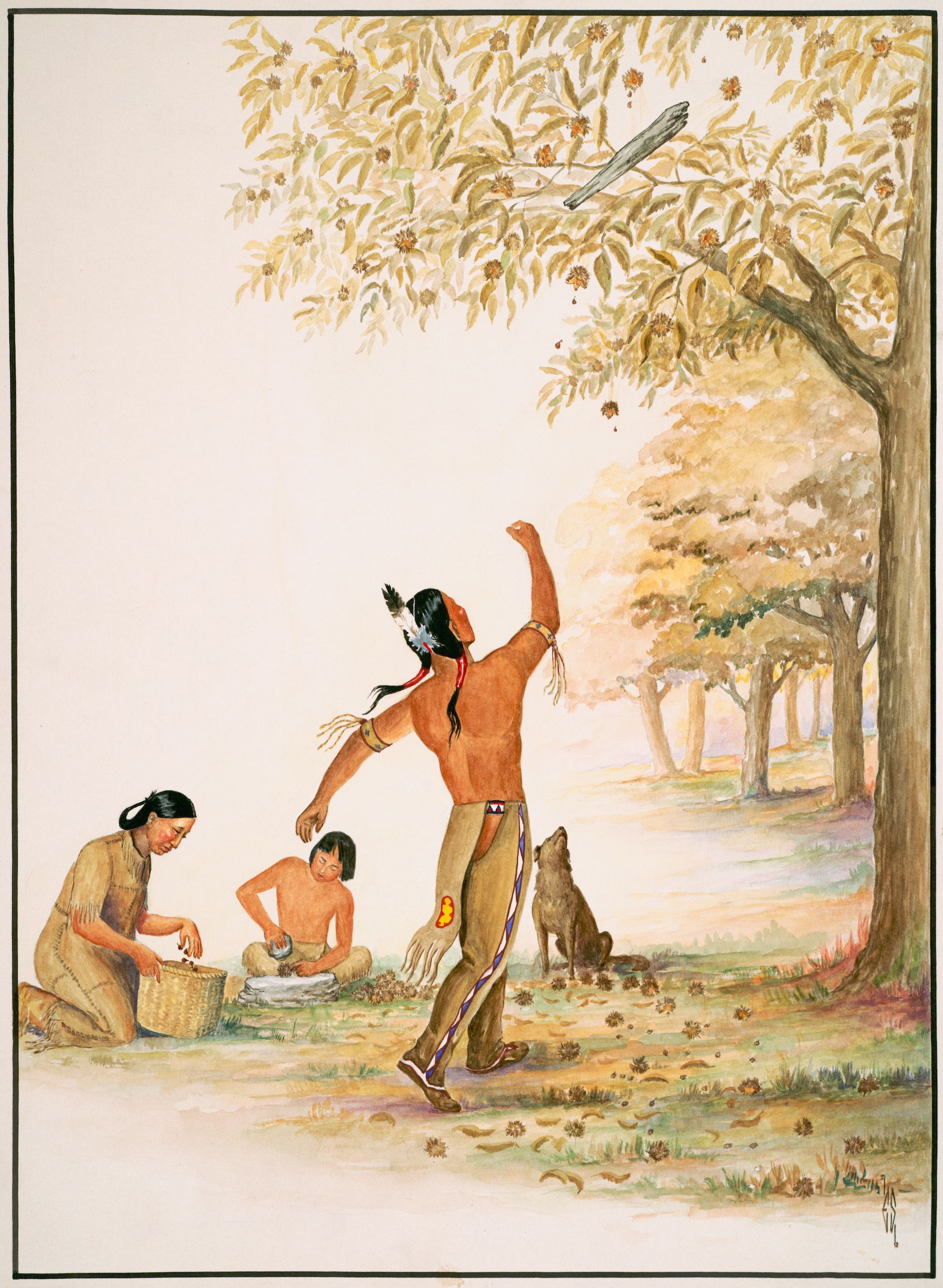 A painting of a man throwing a club into an American chestnut tree while two people kneel nearby