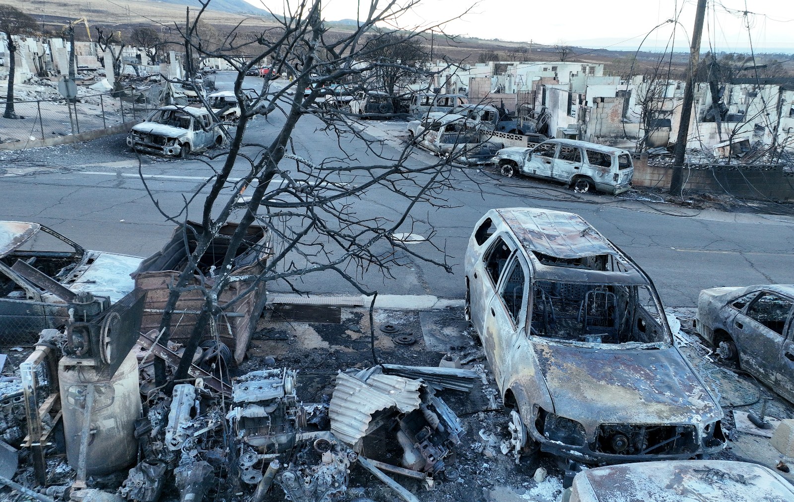 Photo of a charred tree, burned cars, and crumpled roofing on the ground