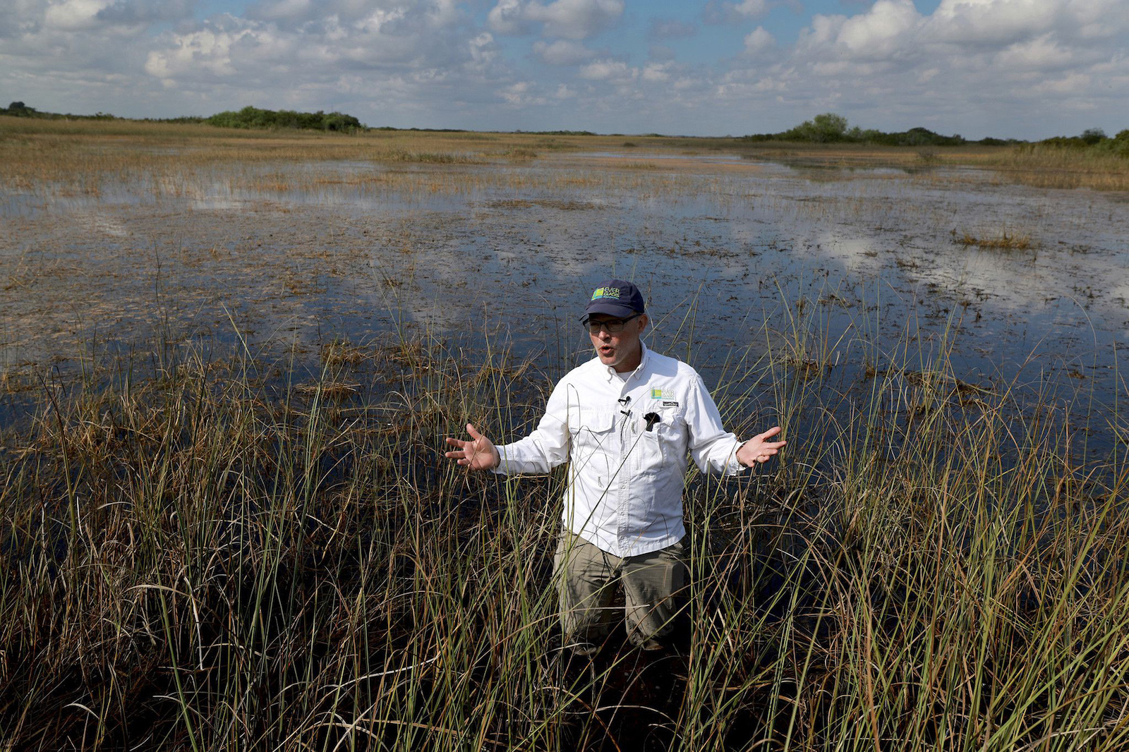 a man stands in the everglades
