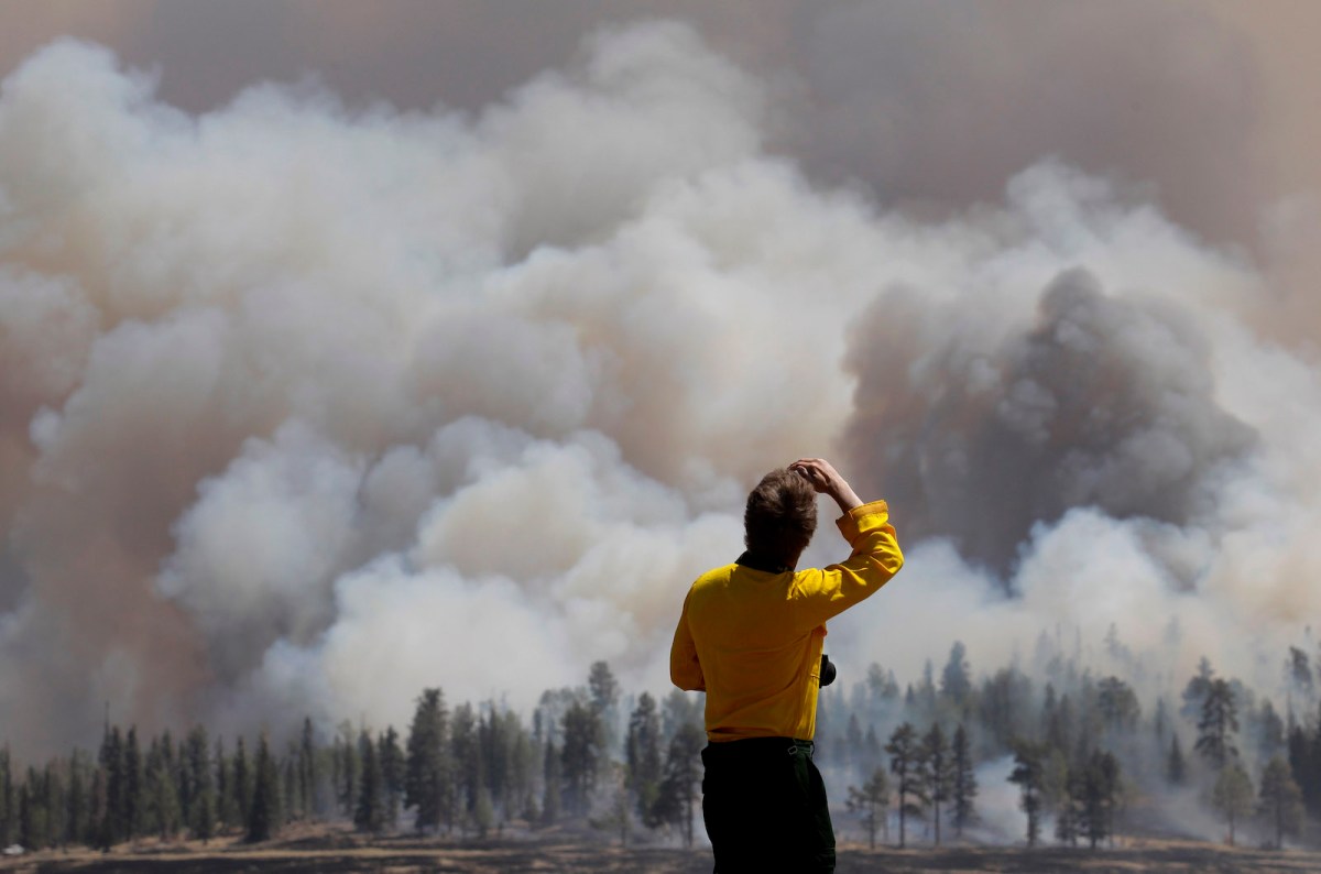 a woman in a yellow shirt looks at a burning forest with wildfire smoke