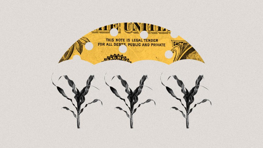 Collage of corn stalks beneath a hole-filled umbrella cut from a dollar bill.