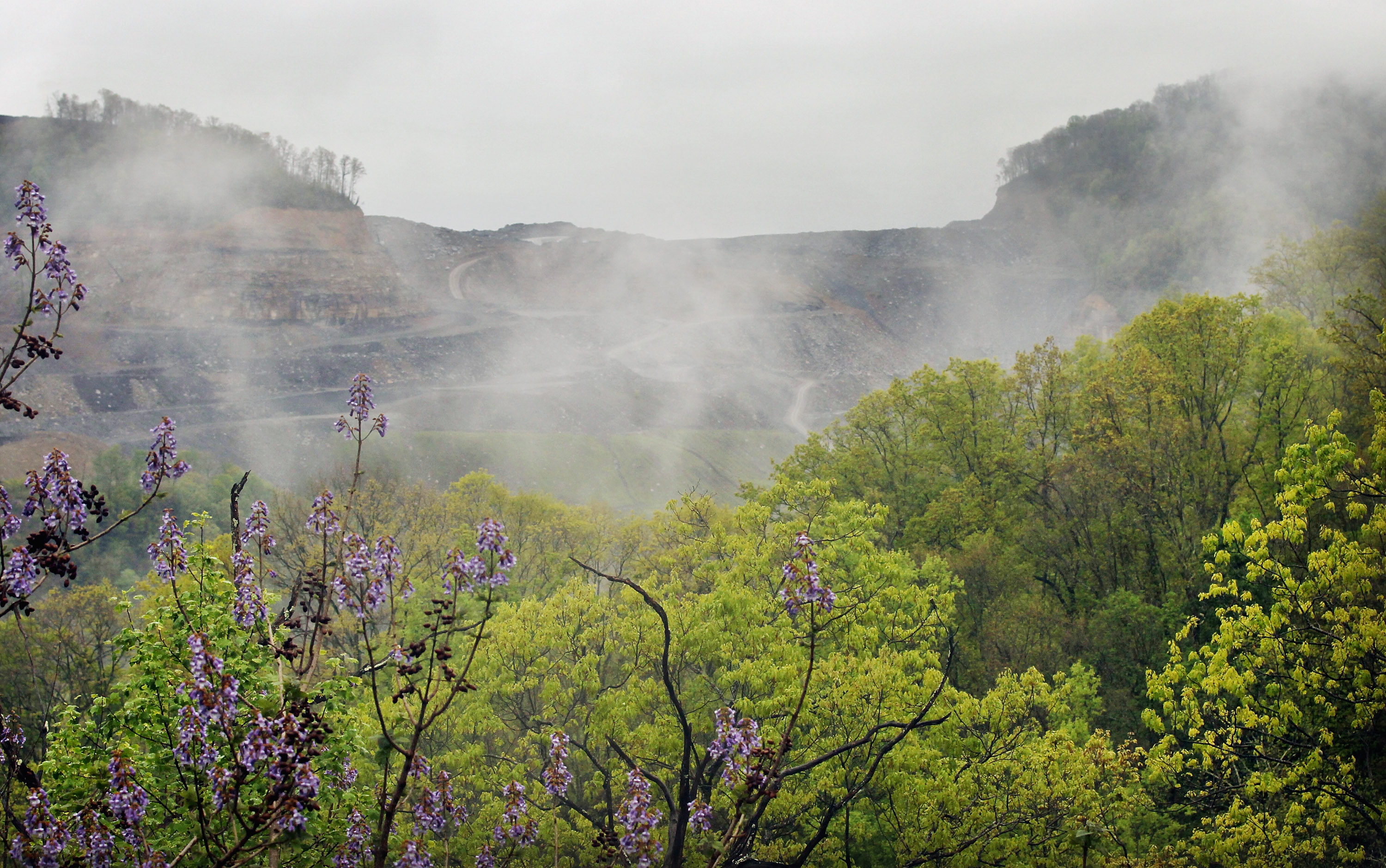 Abandoned coal mines are not the wastelands you think they are