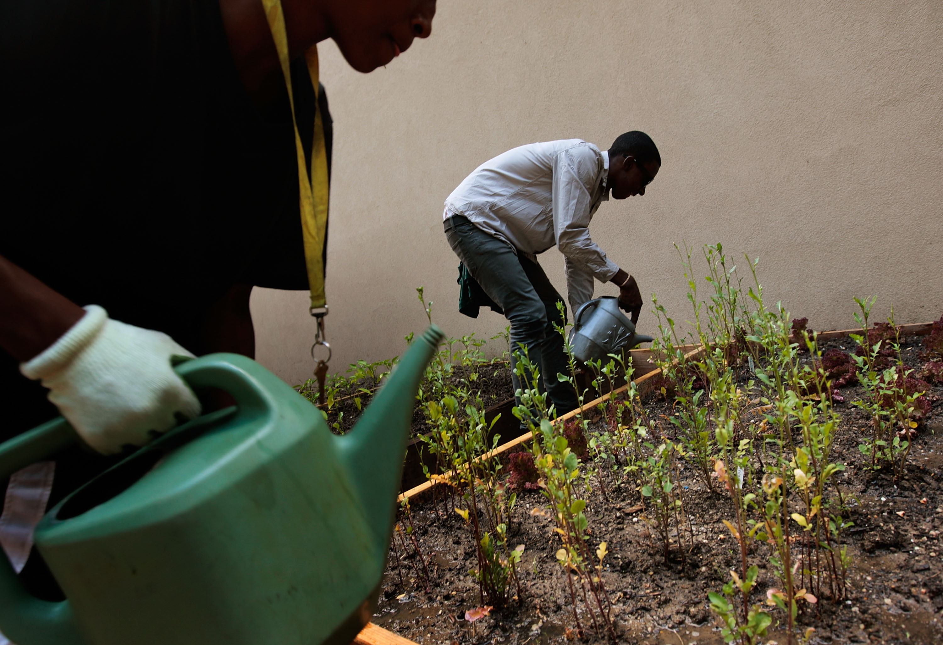 Two young Black men use watering cans to water small green plants growing from a plot of dirt.