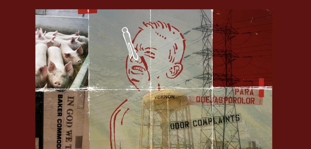 A collage showing a crying boy illustration, pigs, and a water tower.