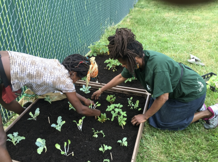 Two Black women stand over a small plot of soil, planting green sprigs