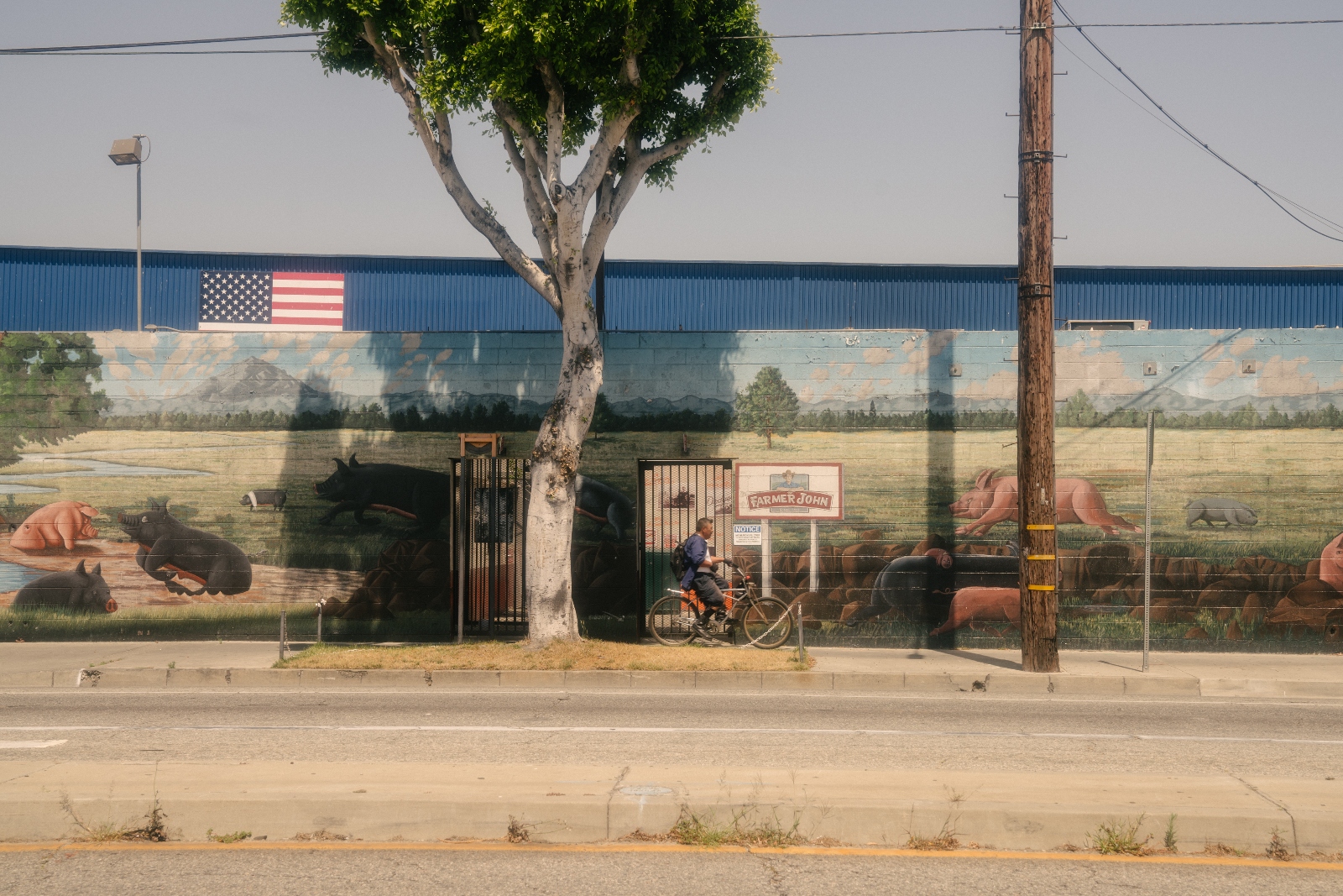 A man on a bike passes a building painted with a mural showing farm animals.
