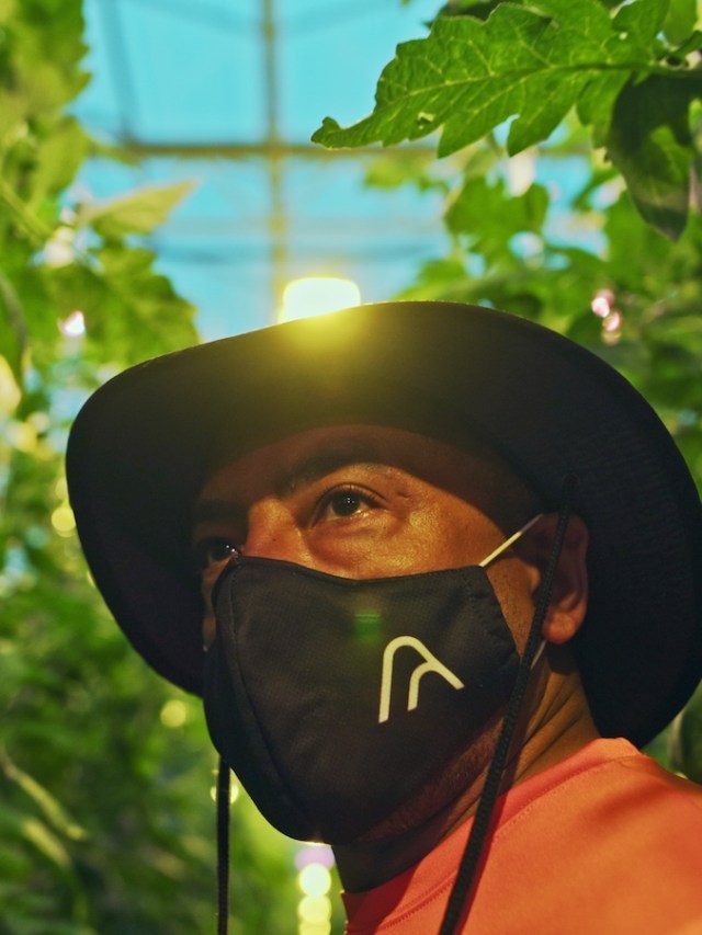 AppHarvest promised Kentucky green jobs. It delivered 'hell on earth