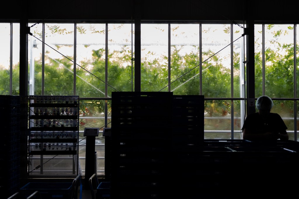 AppHarvest promised Kentucky green jobs. It delivered 'hell on earth