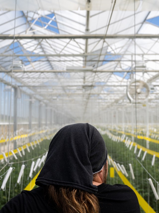 AppHarvest promised Kentucky green jobs. It delivered 'hell on earth