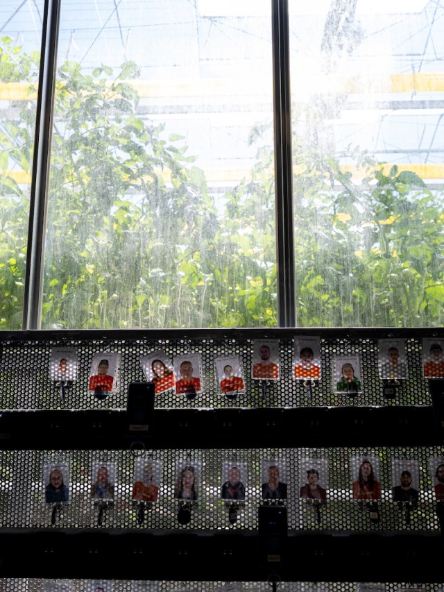 AppHarvest promised Kentucky green jobs. It delivered 'hell on earth