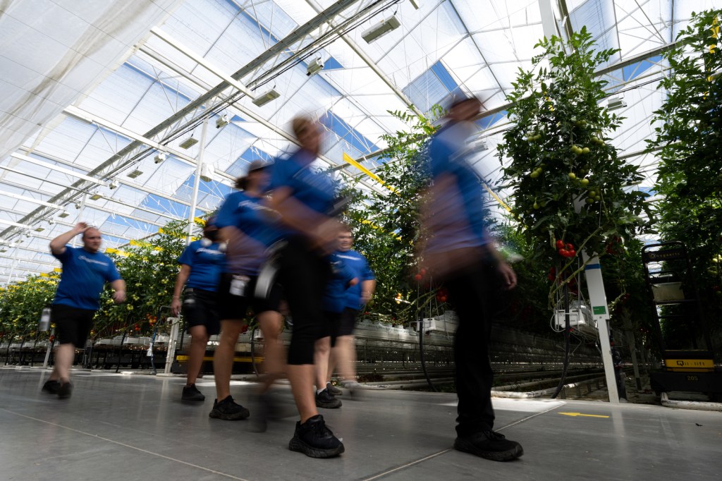 AppHarvest promised Kentucky green jobs. It delivered 'hell on earth