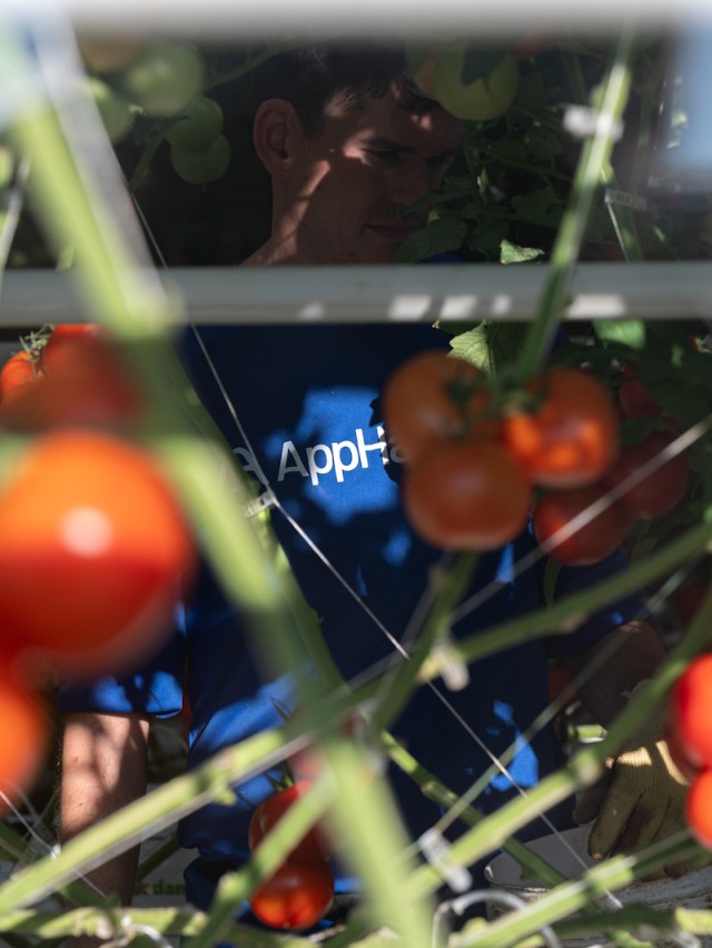 AppHarvest promised Kentucky green jobs. It delivered 'hell on earth