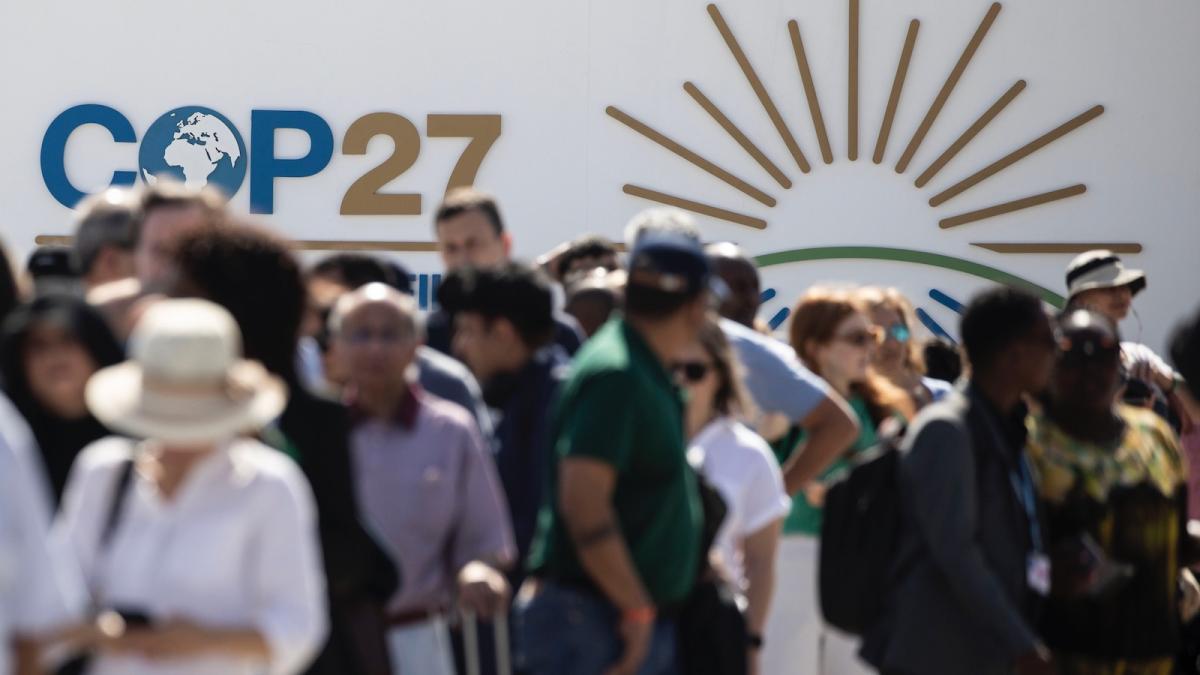 Dozens of people line up to register for COP27 in in Sharm El-Sheikh, Egypt.