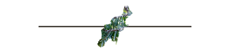 Shape of Northeast
