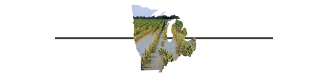 Shape of Midwest