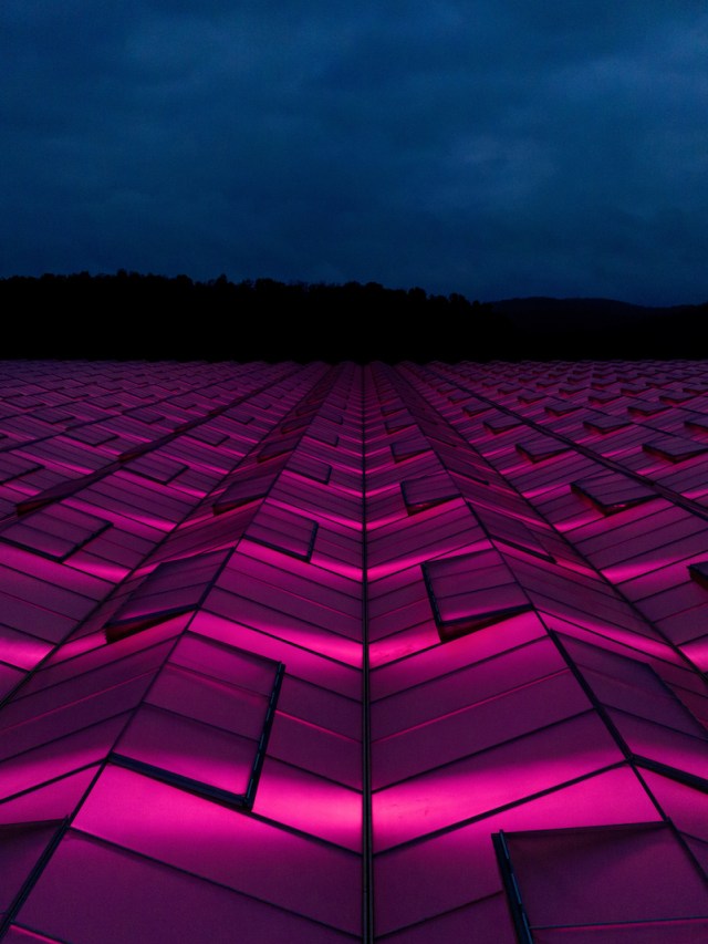 AppHarvest promised Kentucky green jobs. It delivered 'hell on earth