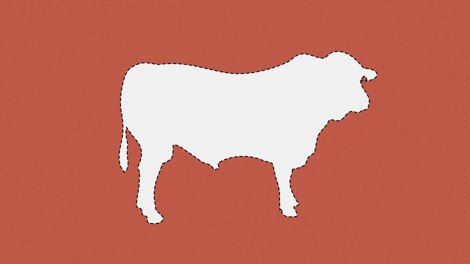 dotted line cutout of a beef cow