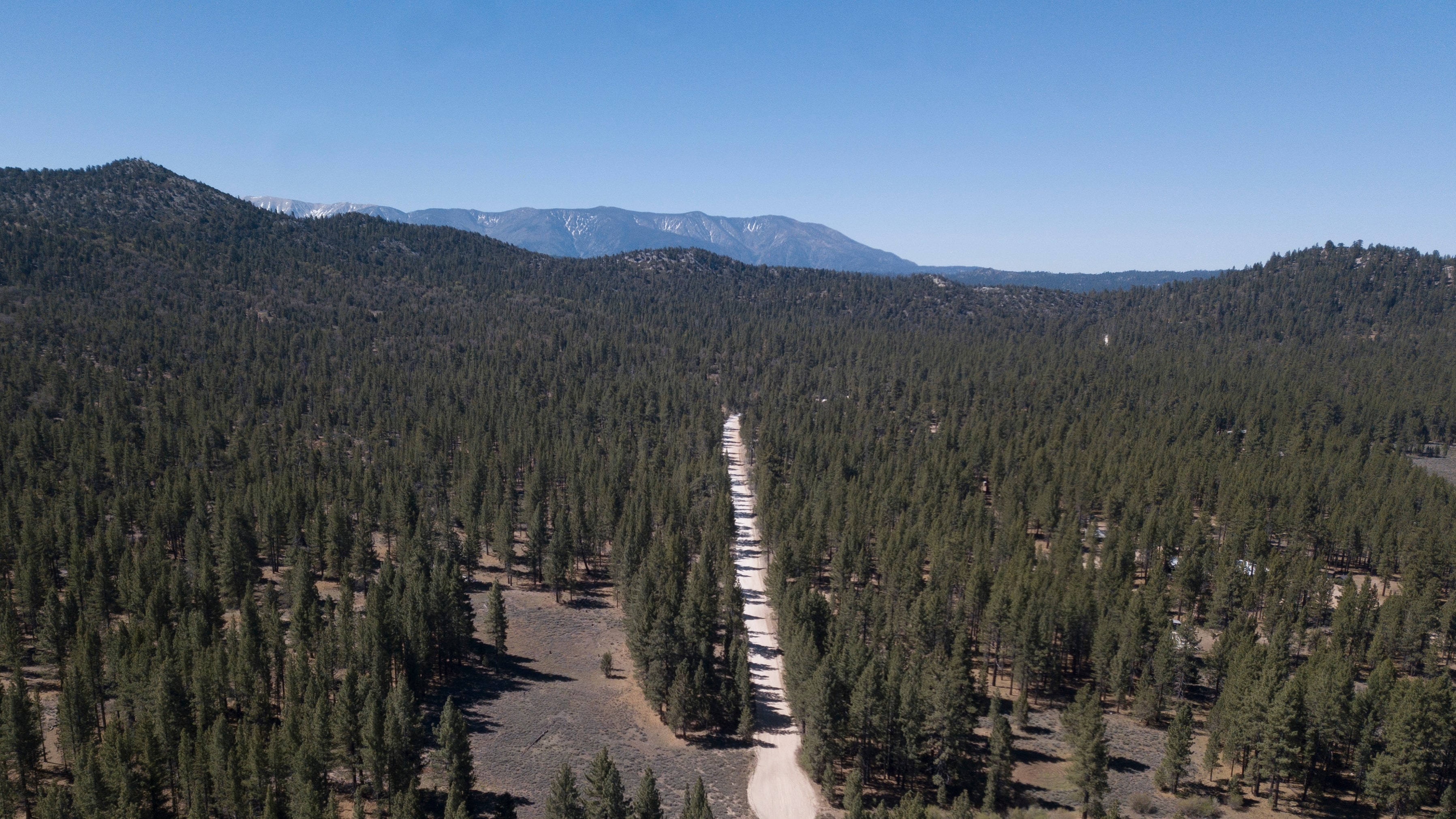 Plan to stash planet-heating carbon dioxide under U.S. national forests alarms critics thumbnail