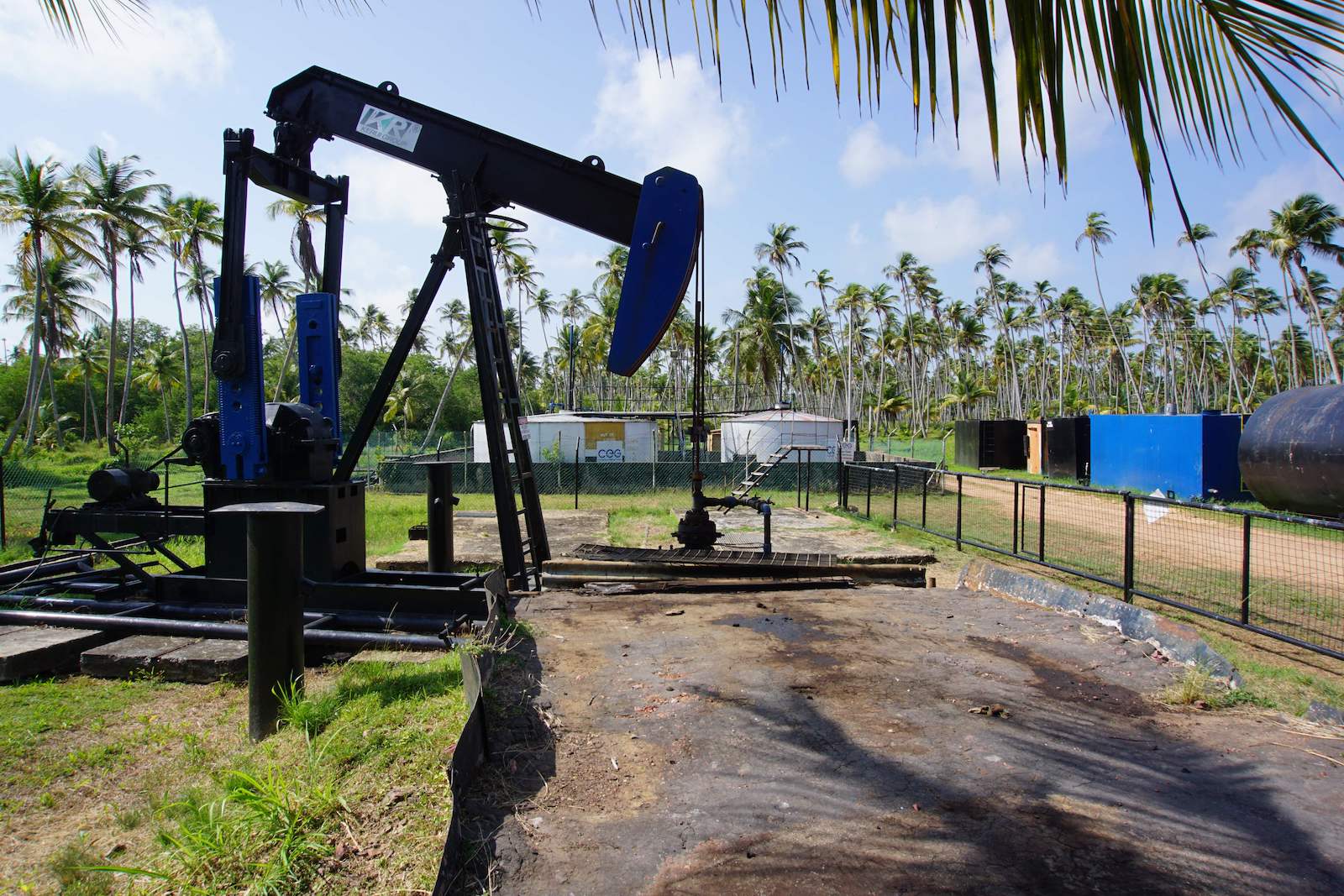 pumpjacks near palm trees