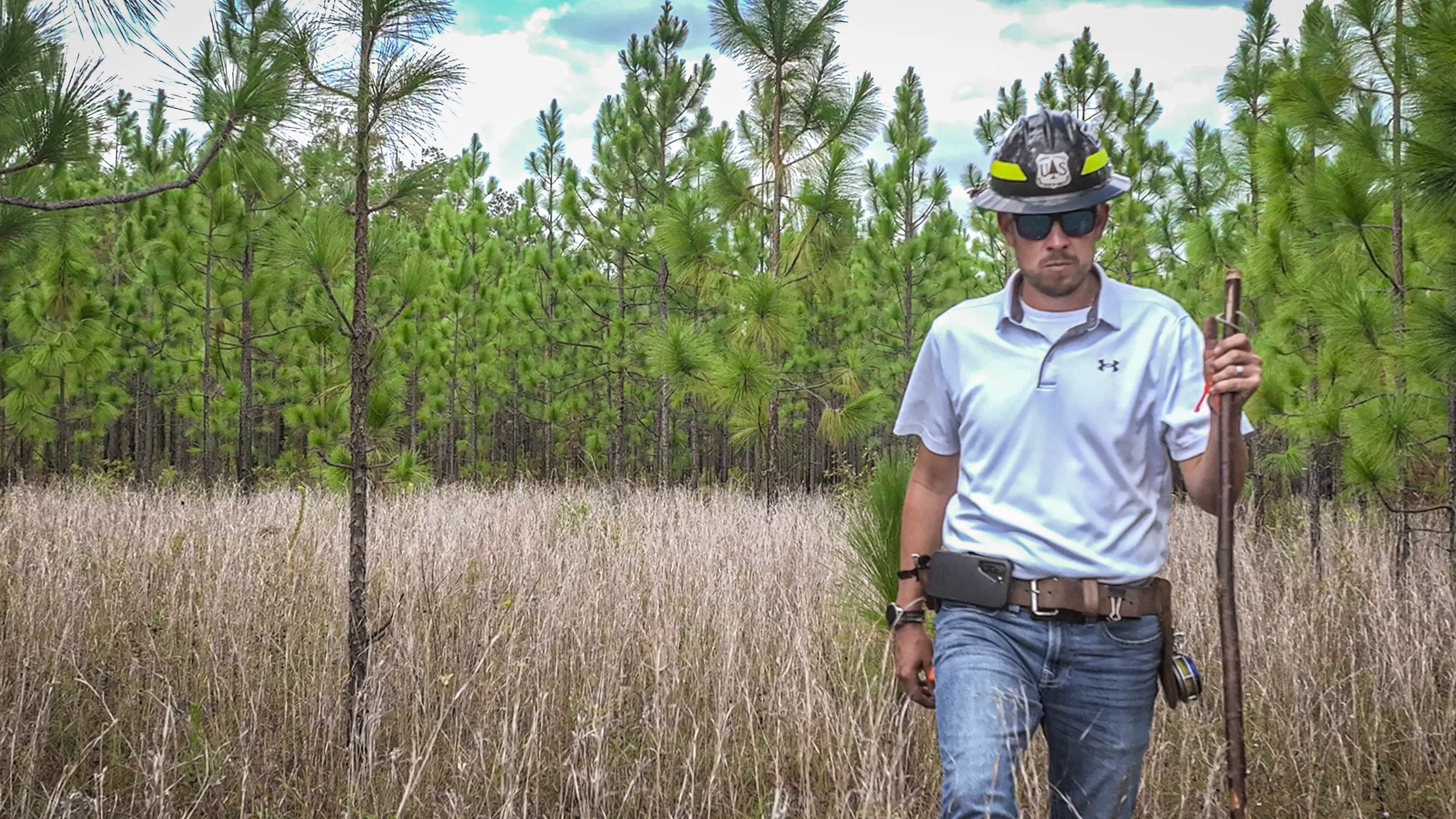 A man in jeans, a tee shirt and nonflexible hat walks through upper grass in a pine forest.