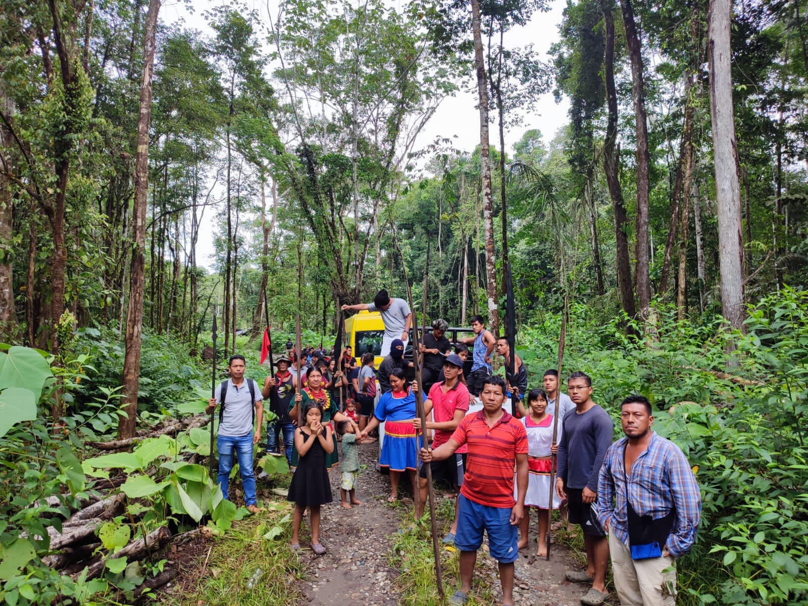 a group of people stand in a lush forest