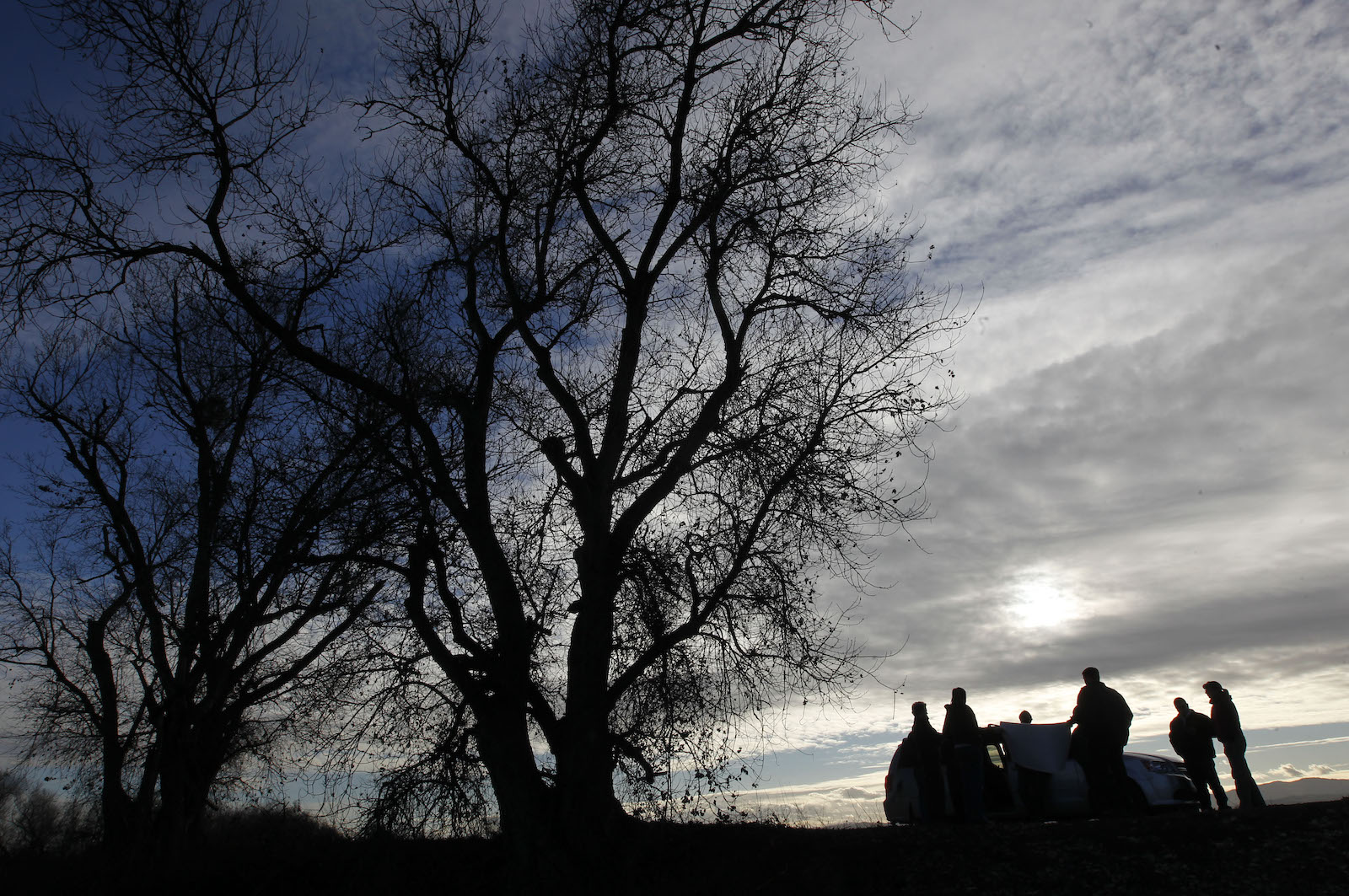 a large tree silhouetted versus the sunset. Next to it a group of gathered people.