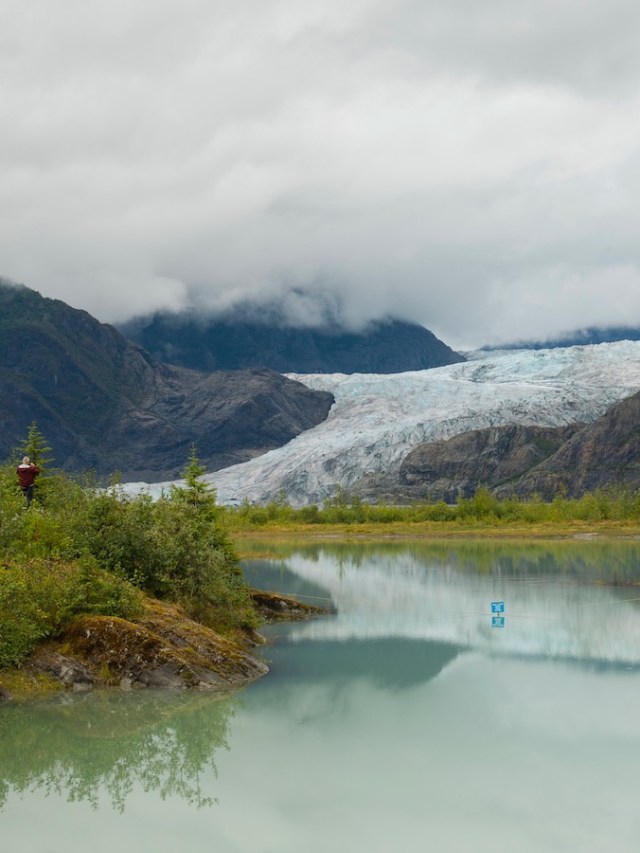 Carbon Offset Programs Guide and Examples for 2026