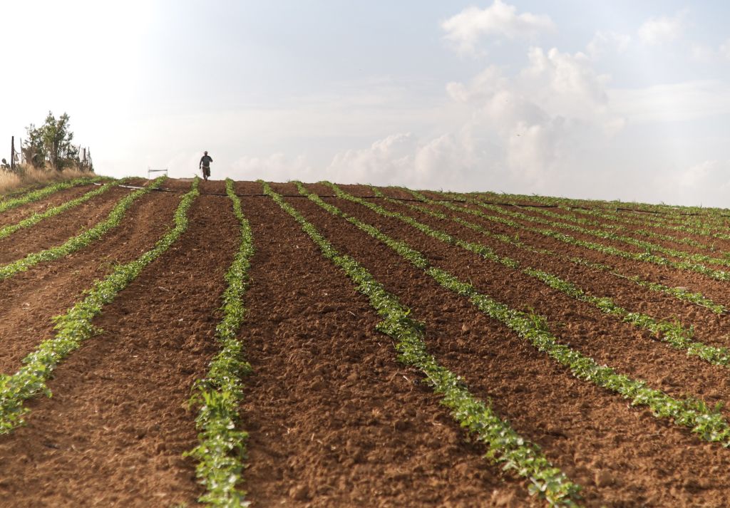 A Palestinian farmer works the land near Jabalia Refugee Camp in Gaza City in May, 2018.