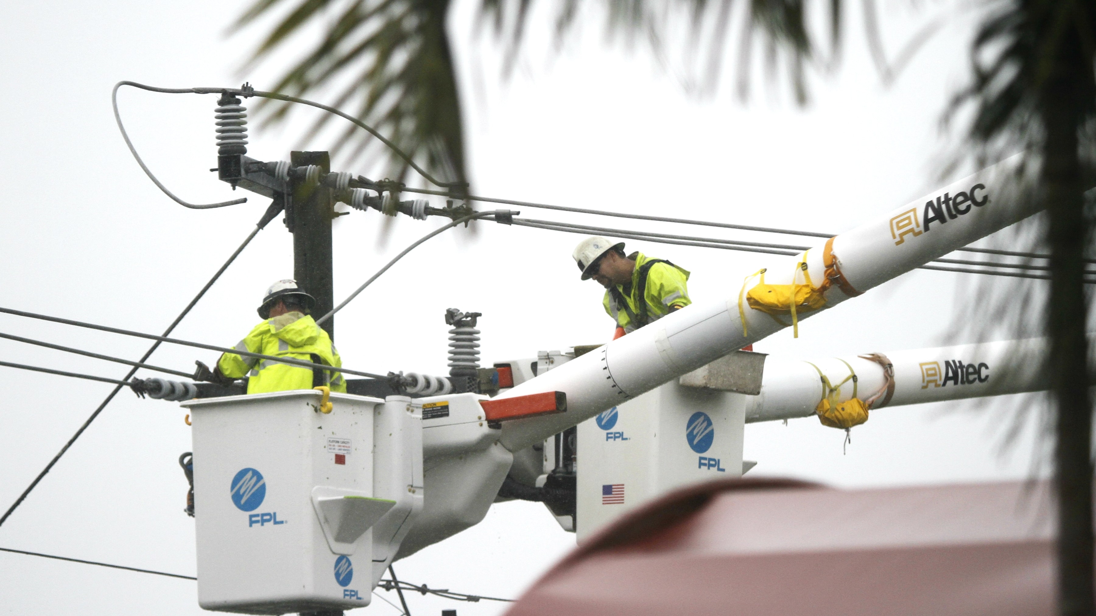Two men in fluorescent yellow jackets and white hard hats work in cranes on an electrical line shaded by palm trees.