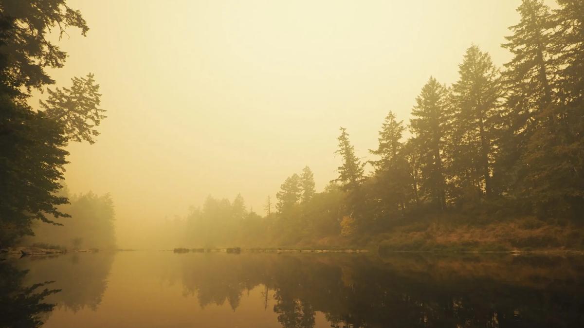 A lake surrounded by trees and filled with yellow smoke.