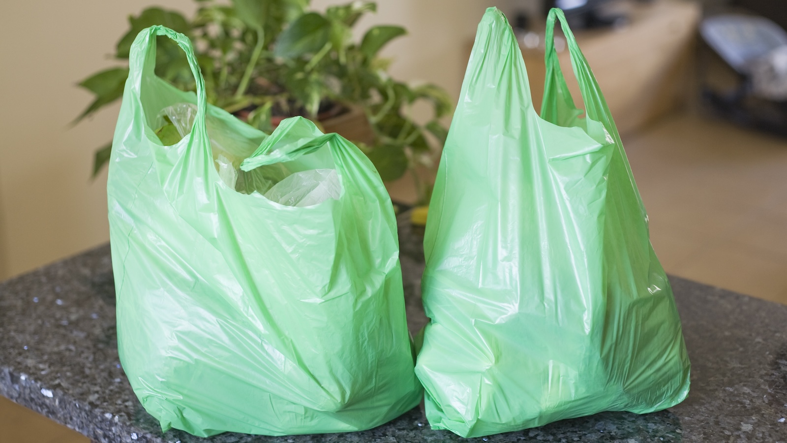 Buh-Bye, Plastic Bags! | The New Yorker