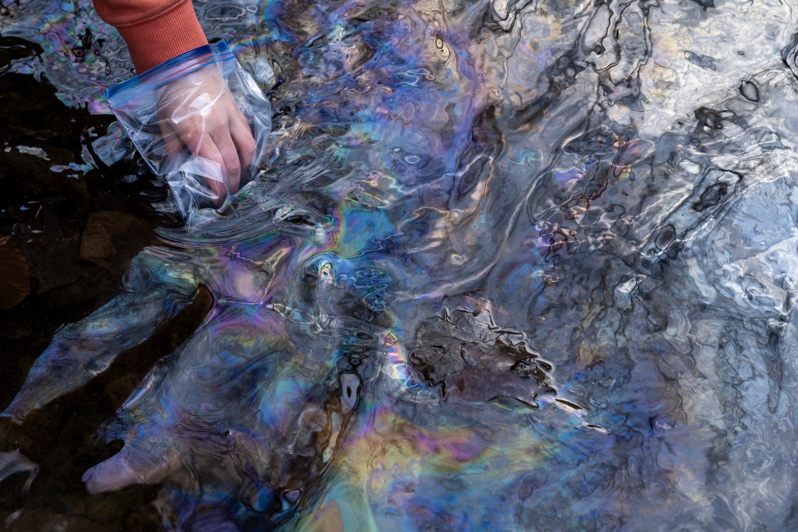 A ziploc-clad hand reaching into a polluted creek to get a water sample for testing