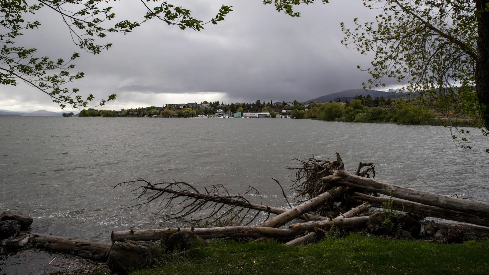 Des rondins de bois flotté se trouvent le long des rives du lac Upper Klamath
