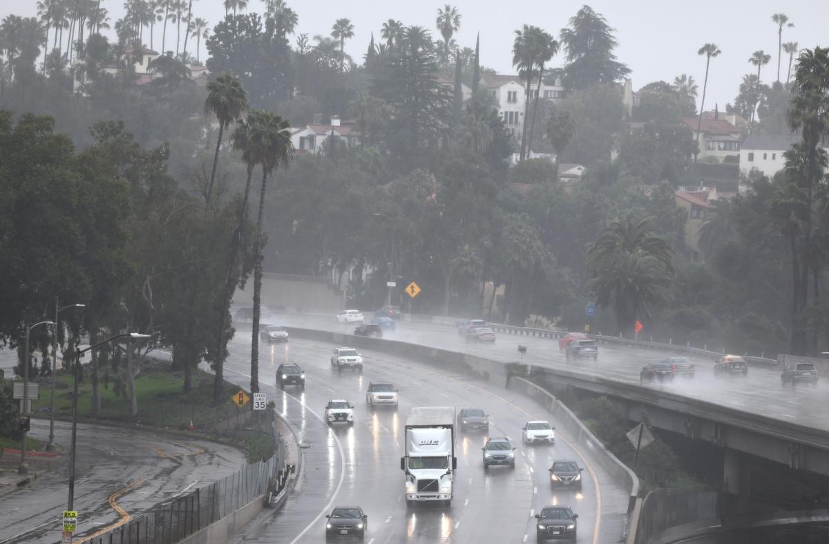 A wet, gray freeway in the rain filled with cars and a truck, lined by tall trees and palm trees.