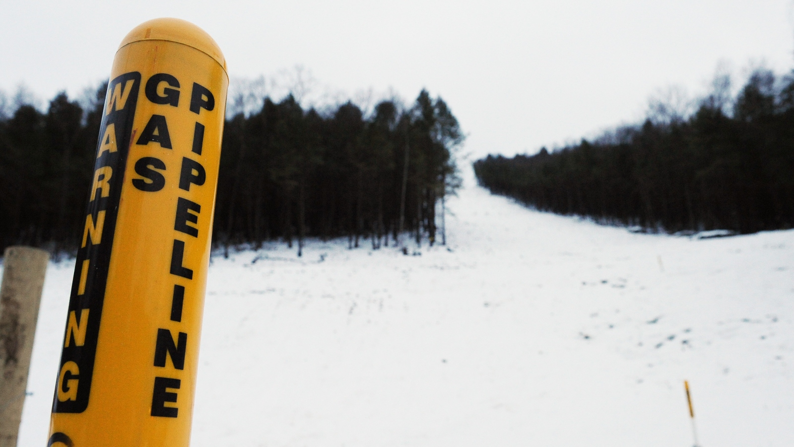 A yellow signpost that reads Warning Gas Pipeline Millenium Pipeline standing against a snowy field bordered by a dark forest.