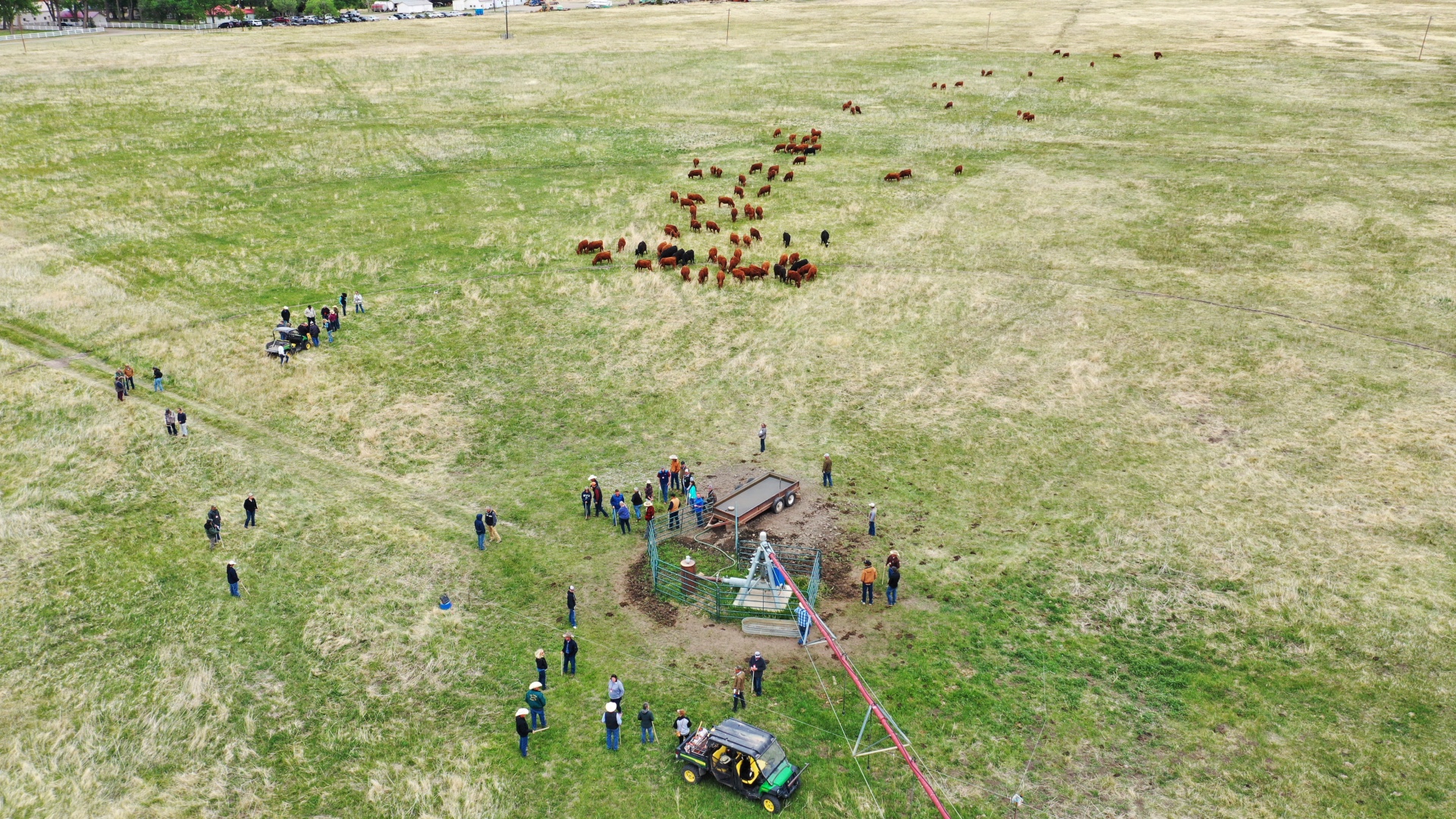 Ranchers gather on a wide pasture to learn about regenerative agriculture