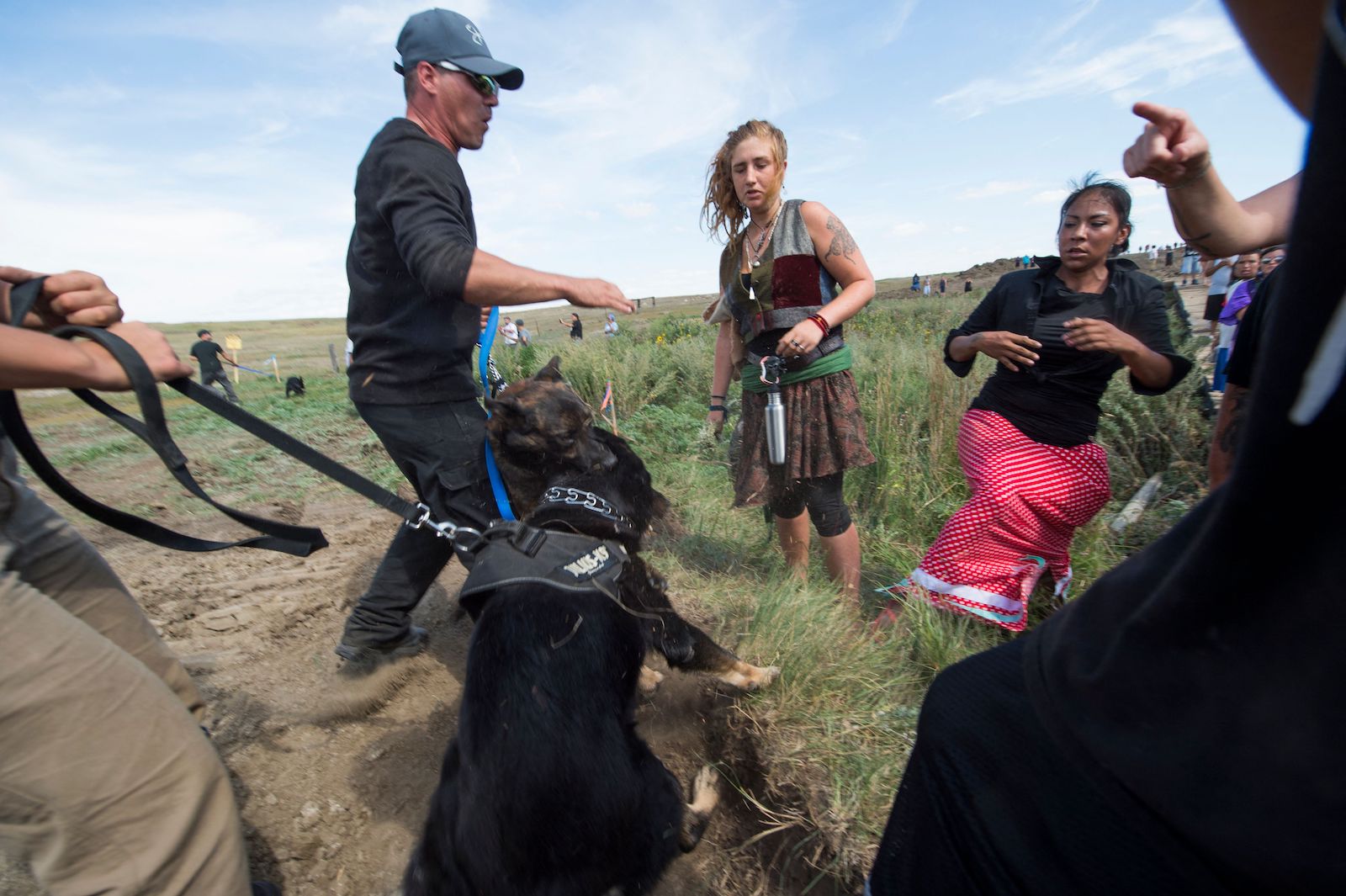 security guards hold dogs lunging at protesters in a field