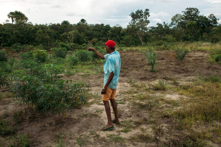 A man in a blue shirt and red hat stands in a field with grasses and some small trees. He is pointing toward the tree line beyond the clearing.