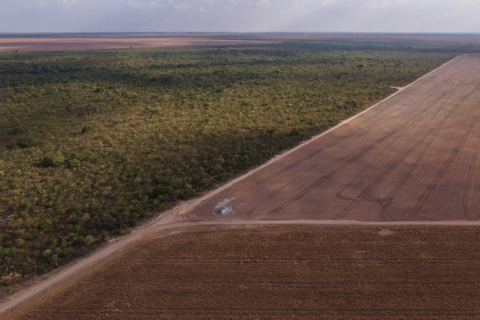 Who's Behind The Destruction Of Brazil's Cerrado? | Grist