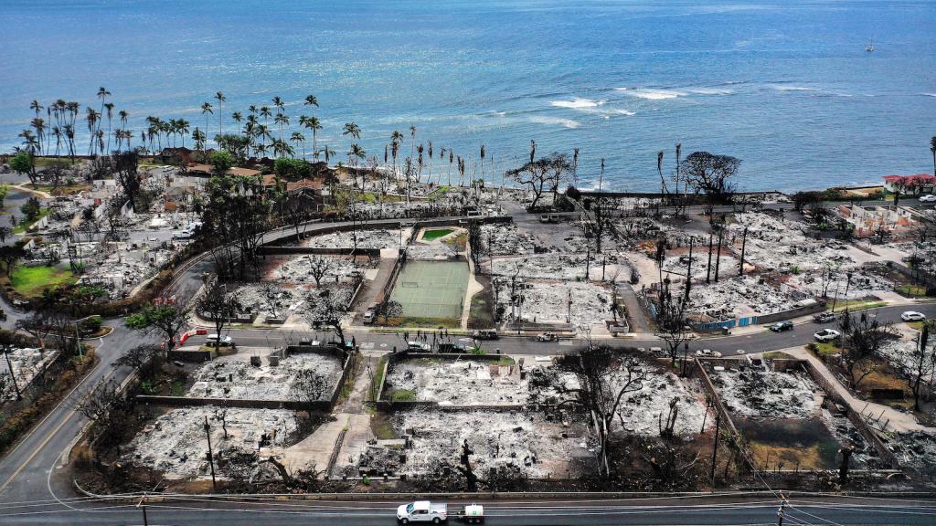burned out trees and empty lots of ash in the wake of a wildfire by the ocean