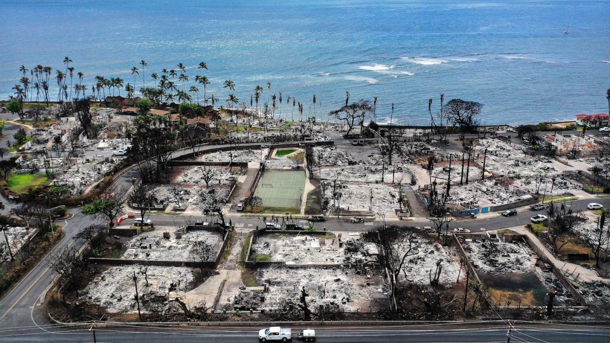 burned out trees and empty lots of ash in the wake of a wildfire by the ocean