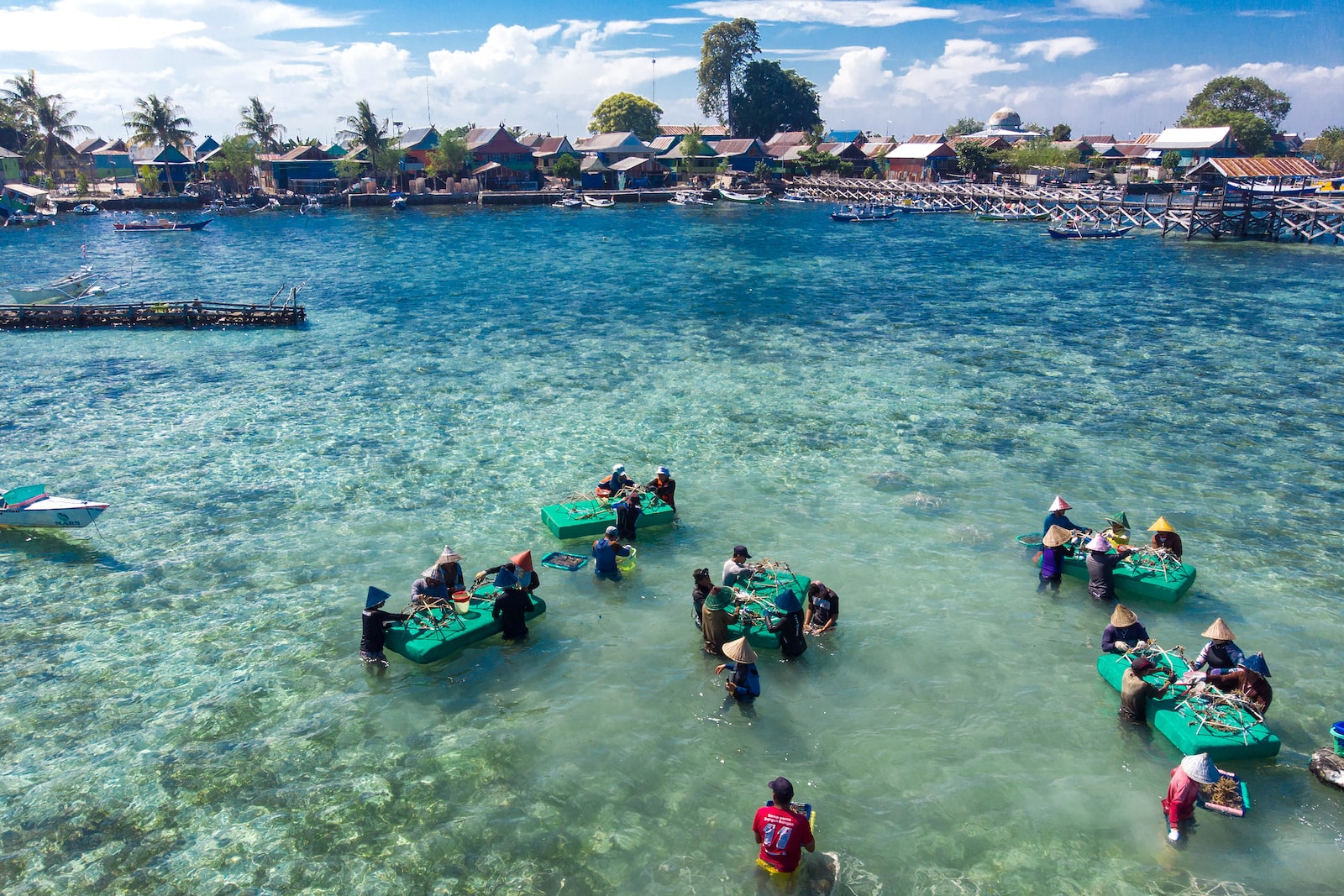 Groups of people surround green tables with star-shaped cages in the water off the coast of an island
