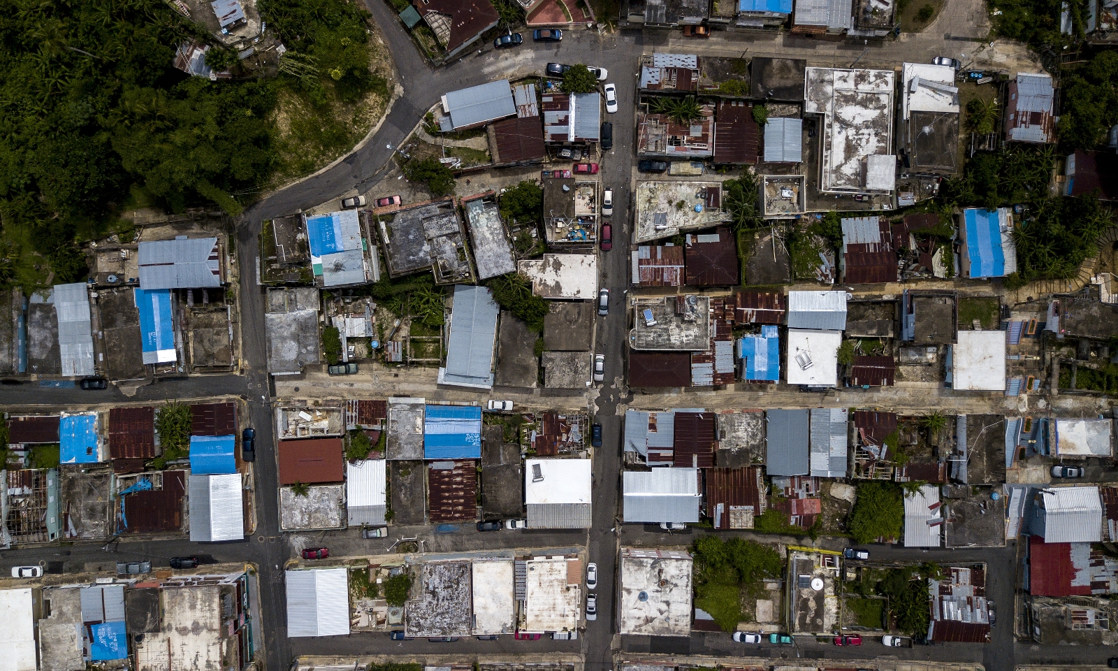 photo of Puerto Rico declares an emergency as cases of dengue fever spike image