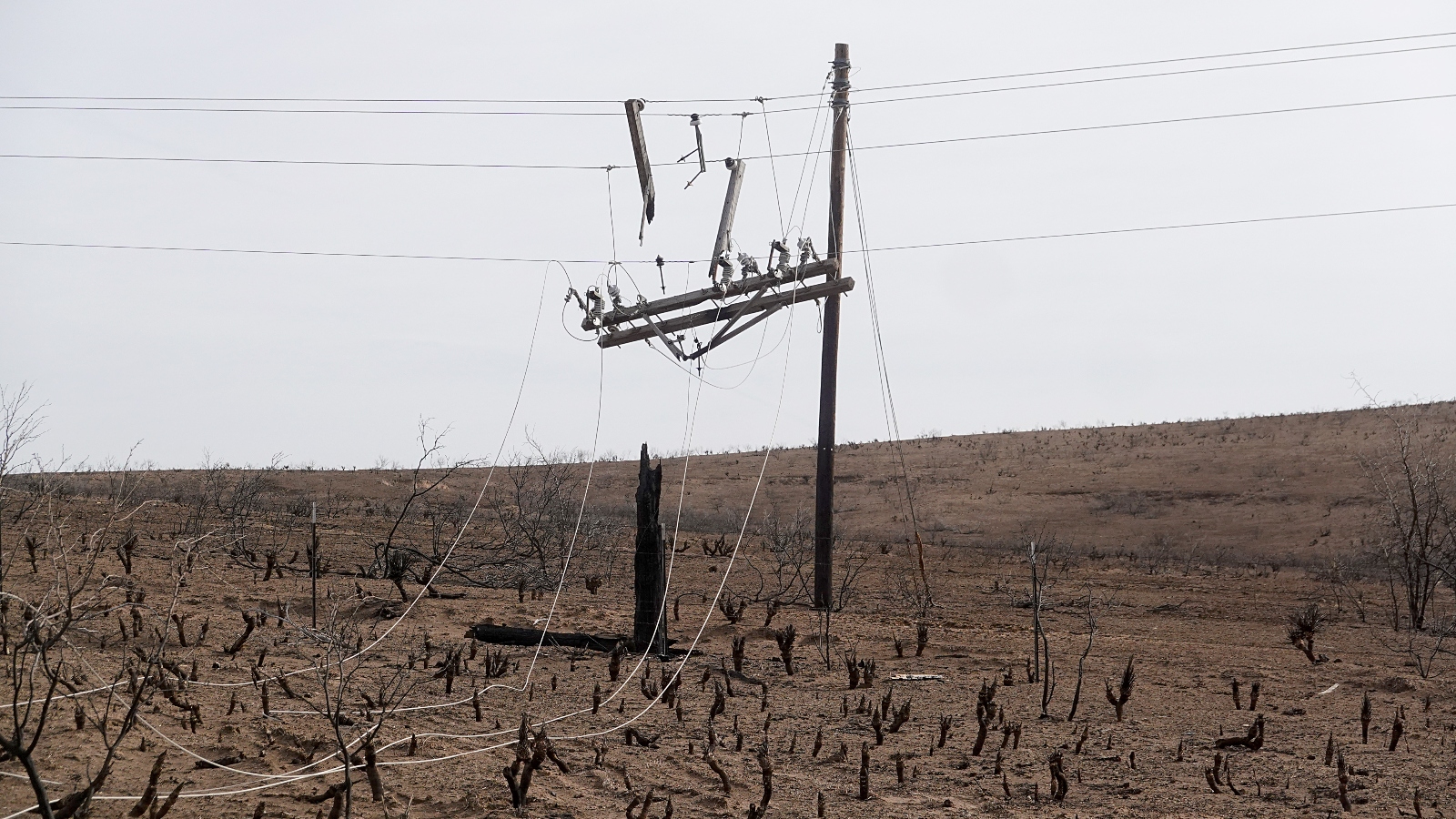 The remains of a charred pole hang from power lines in the aftermath of the Smokehouse Creek fire near Canadian, Texas. The fire burned more than a million acres in the Texas Panhandle, killing at least two people.