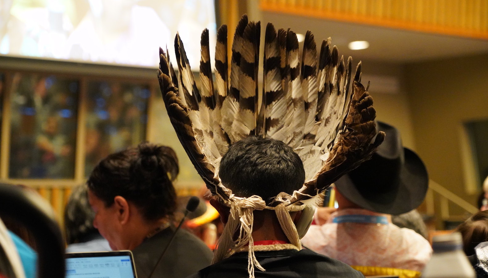 A man faces away from the camera. He wears an elaborate feathered headdress and looks toward a large projector screen