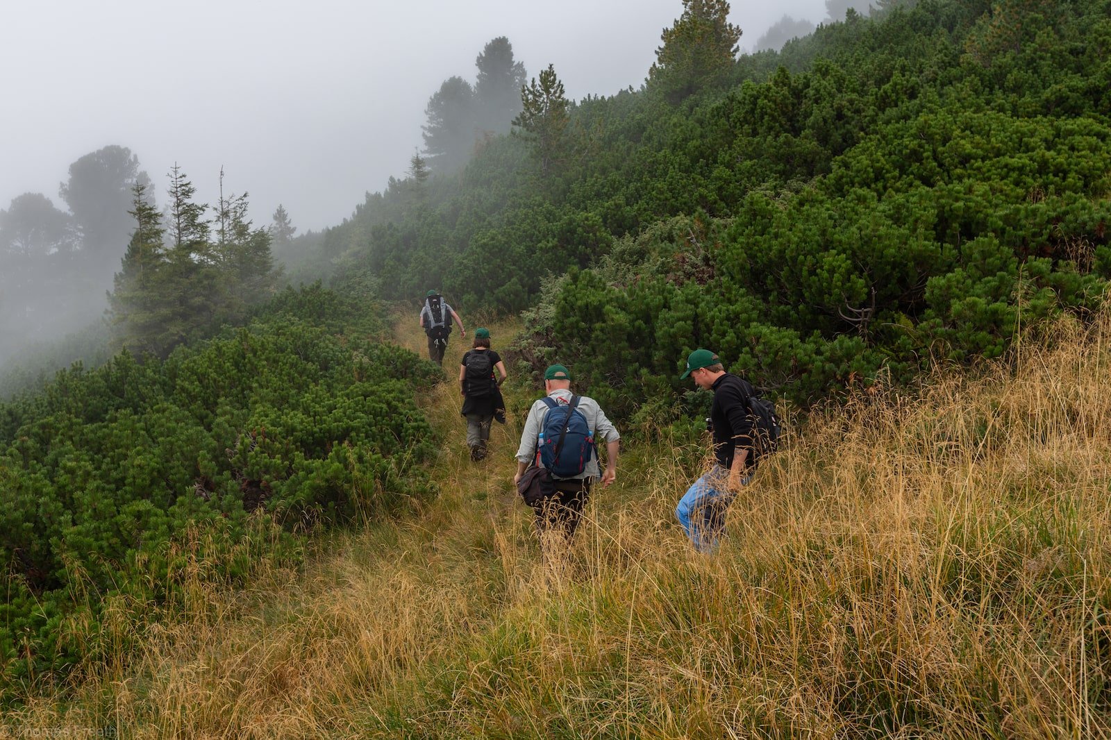 A line of people in hiking gear walk through a misty forest