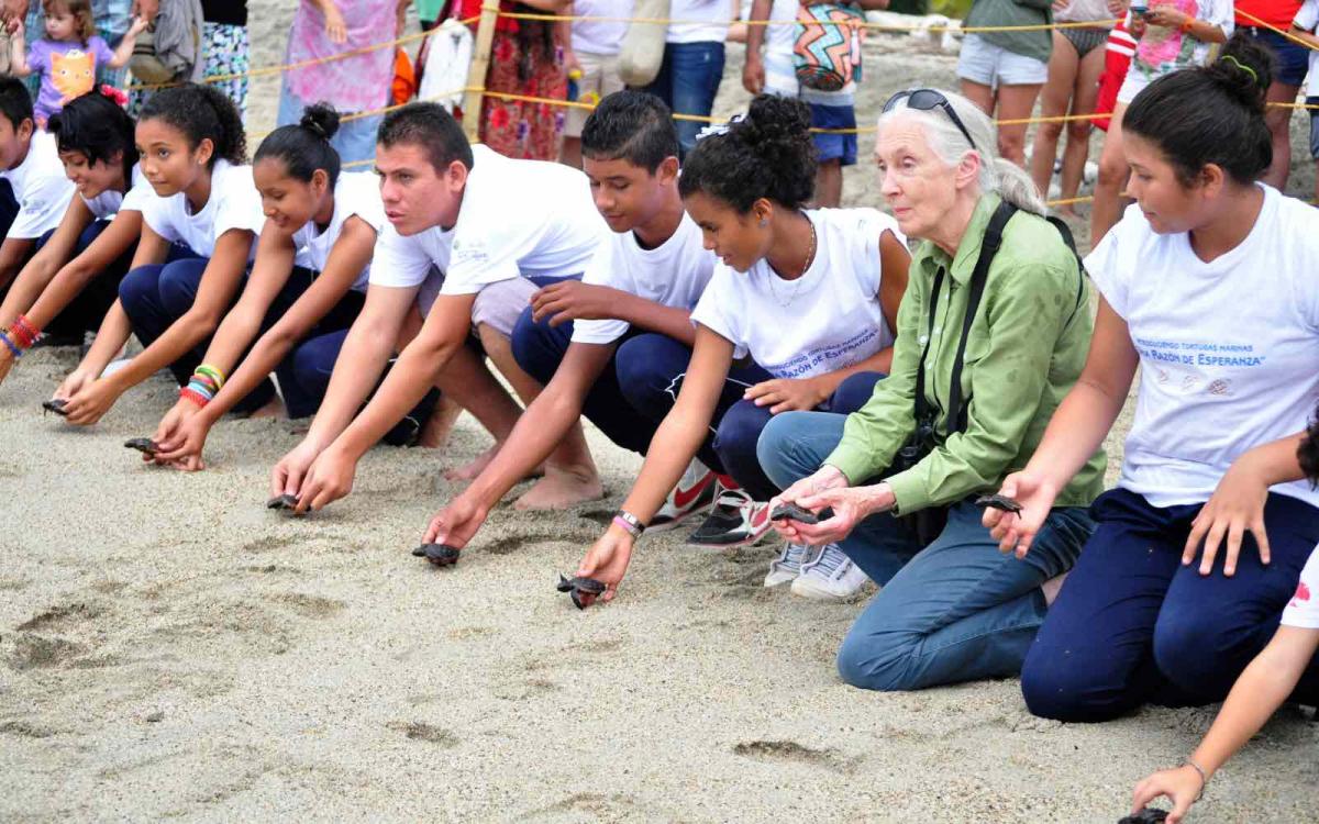 A group of young people in white T-shirts and an elderly woman (Jane Goodall) crouch on the beach holding baby sea turtles
